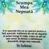 Cadou Pentru Nepoata