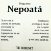 Cadou Pentru Nepoata