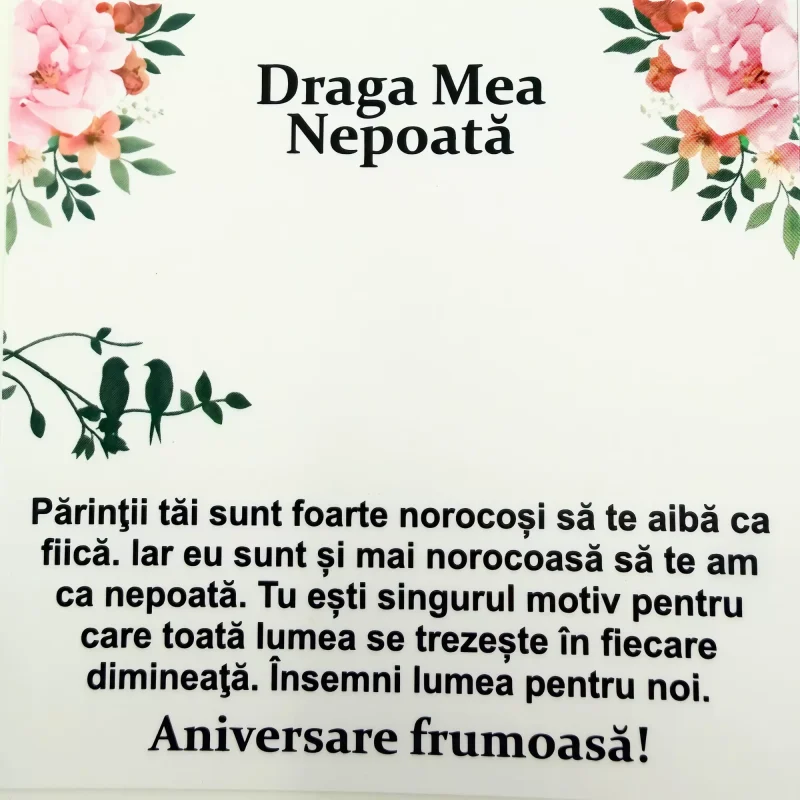 Cadou Pentru Nepoata – Aniversare Frumoasa!