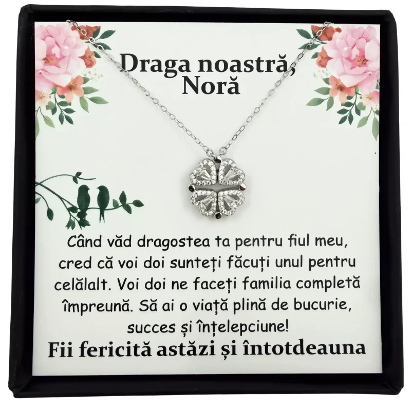 Cadou Pentru Nora – de la Socrii