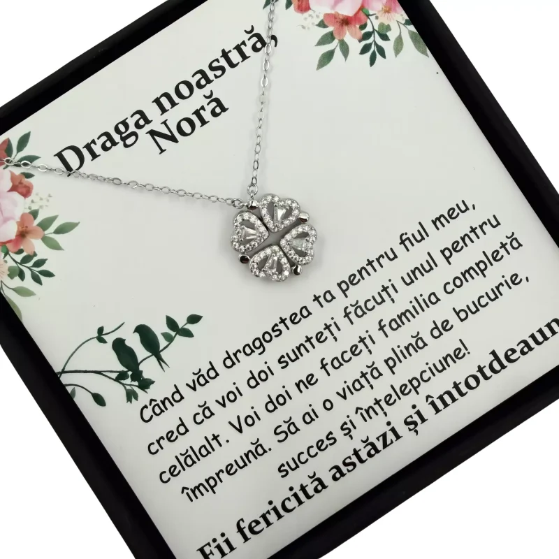 Cadou Pentru Nora – de la Socrii