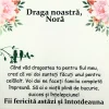 Cadou Pentru Nora – de la Socrii