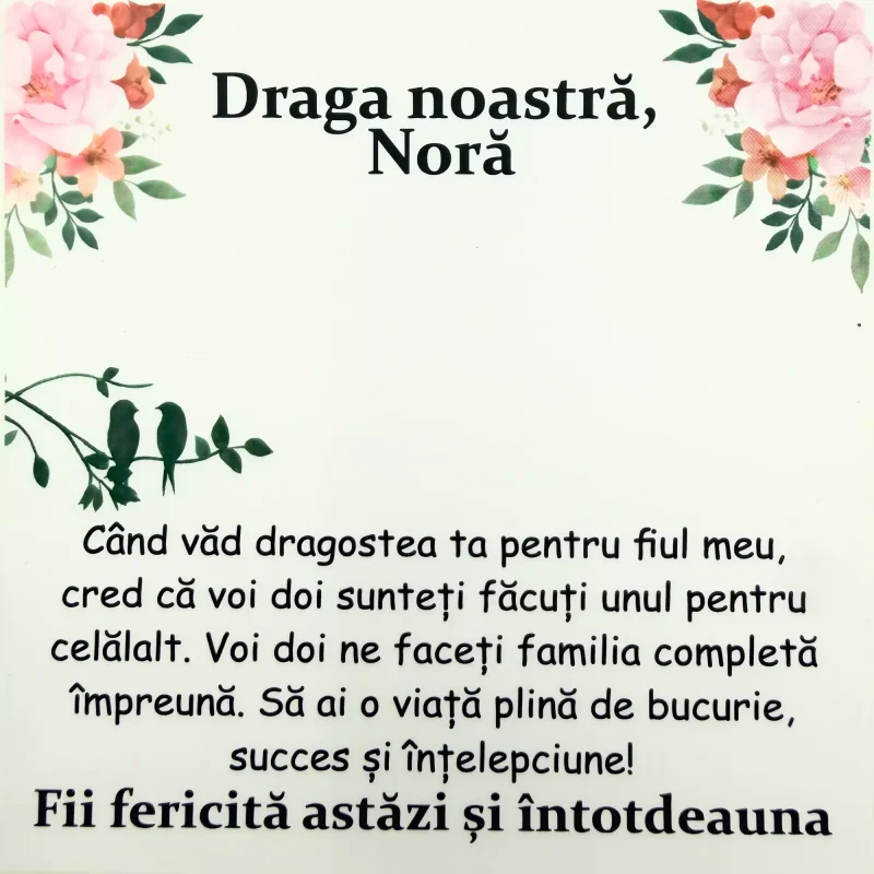 Cadou Pentru Nora – de la Socrii