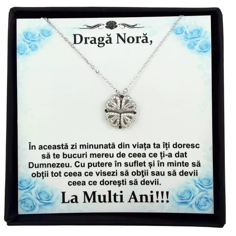 Cadou Pentru Nora – La multi ani!