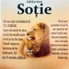 Cadou Pentru Sotie - Incurajare