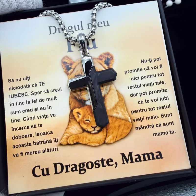 cadou_pentru_fiu_de_la_mama_11_163 Cadou pentru Fiu – de la Mama