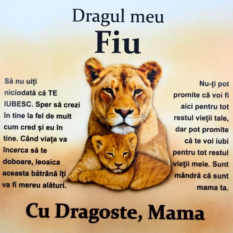cadou_pentru_fiu_de_la_mama_11_171 Cadou pentru Fiu – de la Mama