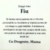Cadou pentru Fiu -  de la Mama