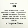 cadou_pentru_fiu_de_la_mama_25_34 Cadou Pentru Fiu - de la Mama