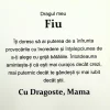 cadou_pentru_fiu_de_la_mama_3_79 Cadou pentru Fiu – de la Mama