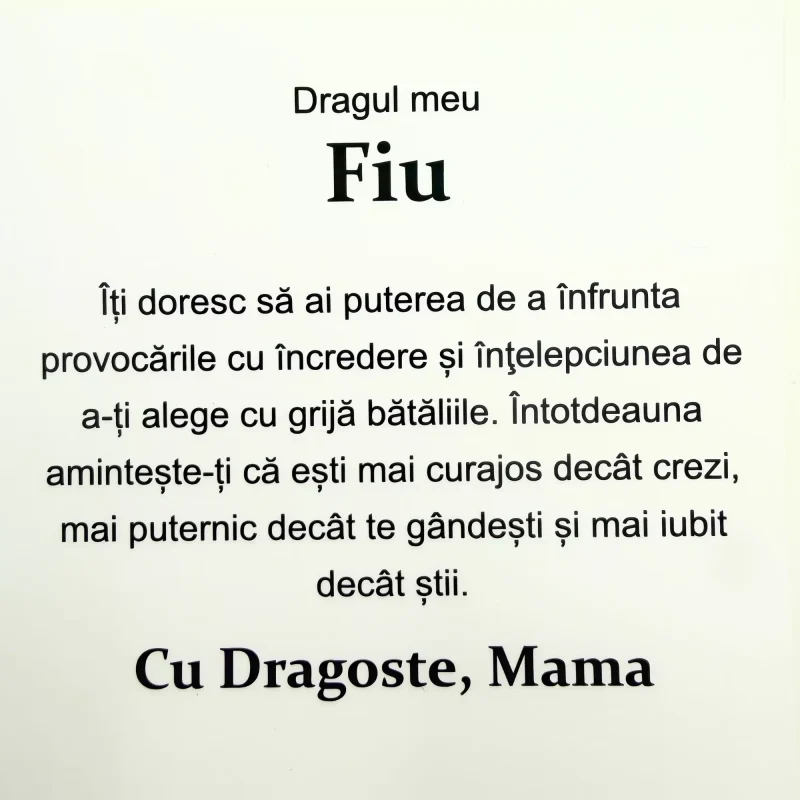 cadou_pentru_fiu_de_la_mama_3_79 Cadou pentru Fiu – de la Mama