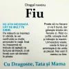 Cadou pentru Fiu – de la Parinti