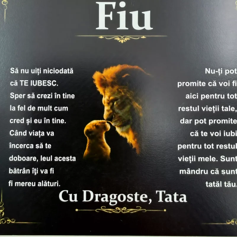 Cadou pentru Fiu – de la Tata