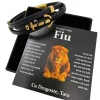 Cadou Pentru Fiu - de la Tata