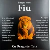 cadou_pentru_fiu_de_la_tata_14_72 Cadou pentru Fiu – de la Tata