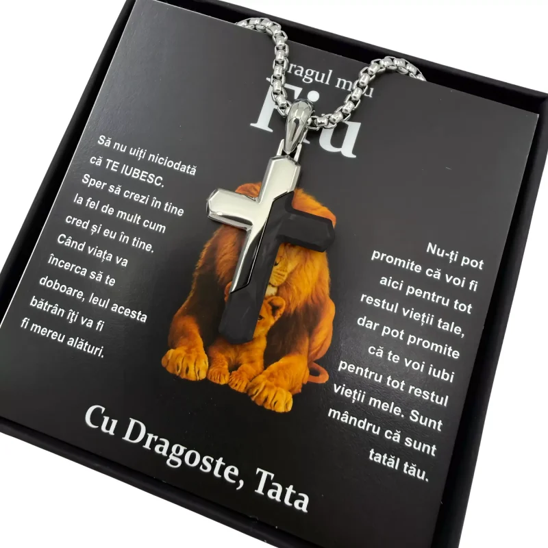 Cadou pentru Fiu – de la Tata