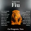 Cadou pentru Fiu – de la Tata