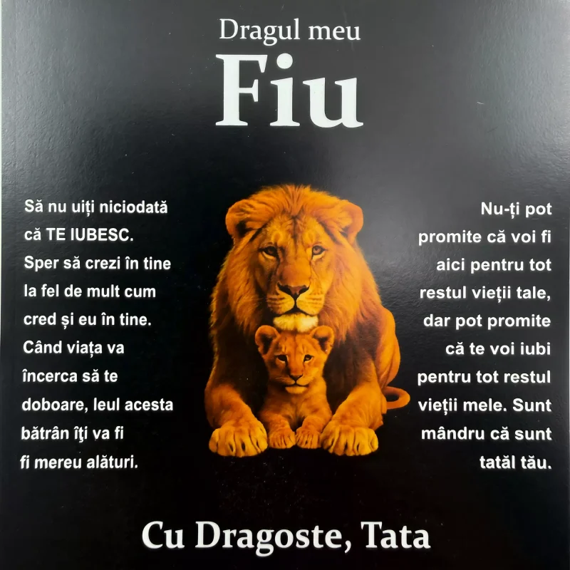 Cadou pentru Fiu – de la Tata