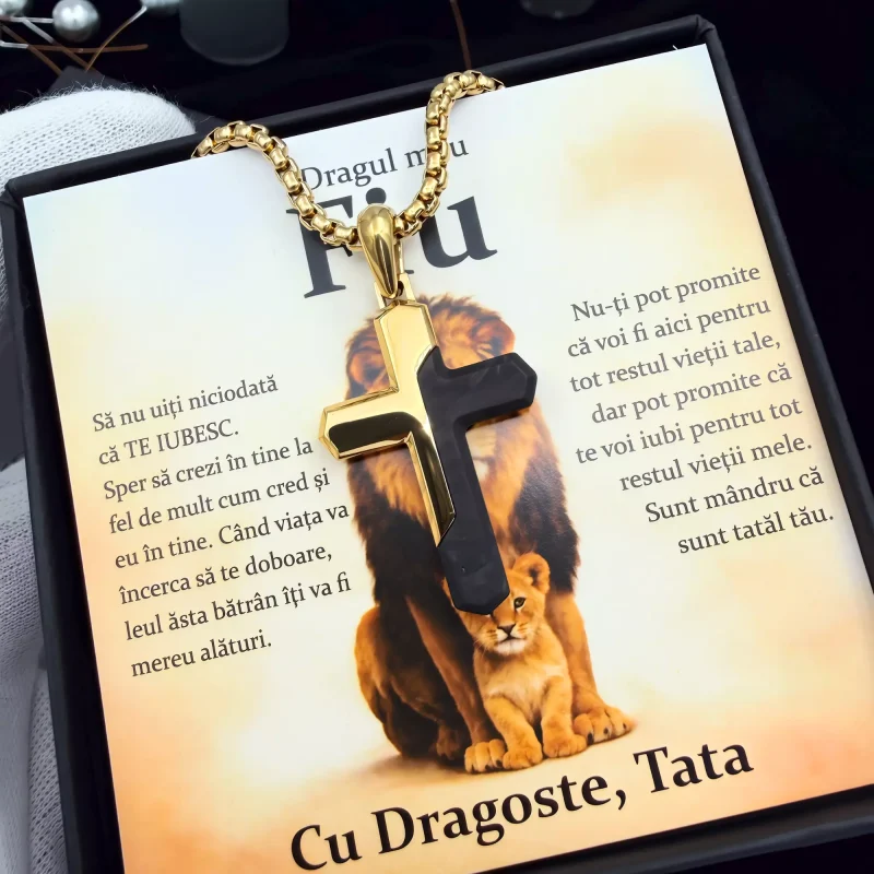 Cadou pentru Fiu – de la Tata