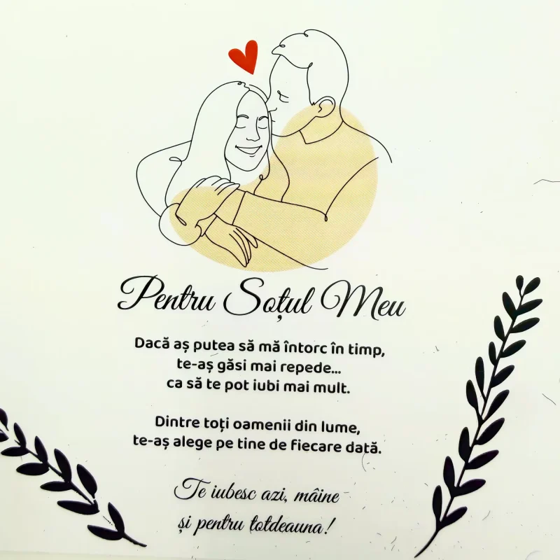 cadou_pentru_sot_23_17 Cadou pentru Sot