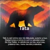 cadou_pentru_tata_14_89 Cadou pentru Tata